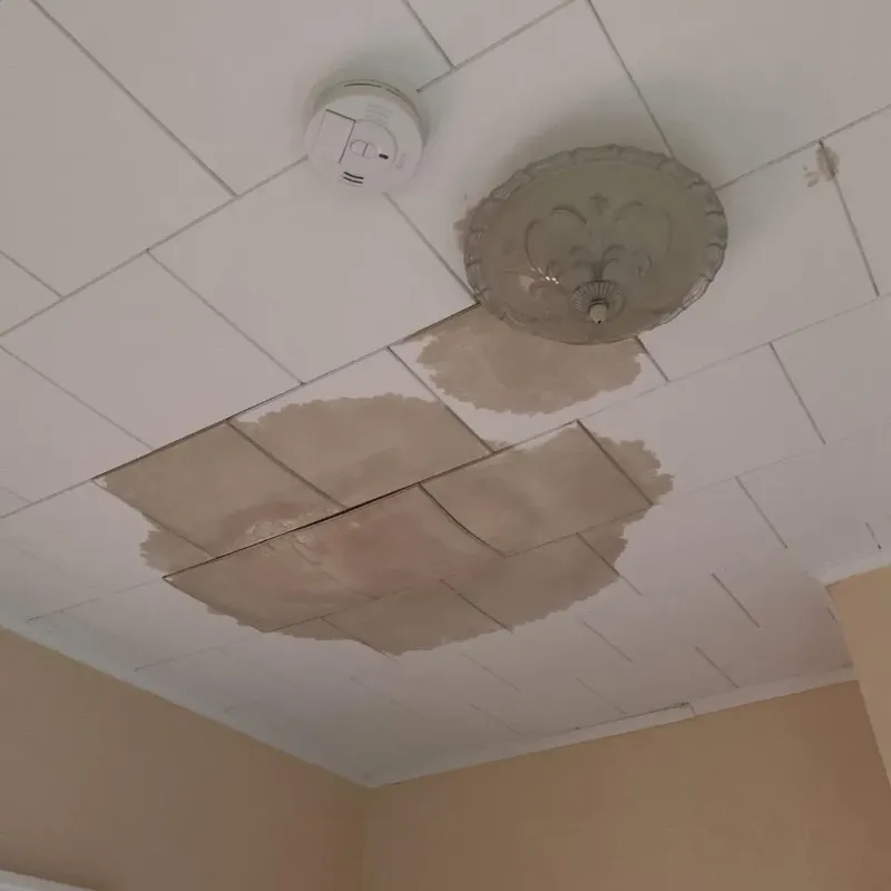 Ceiling Water Damage Repair in Henry County, KY