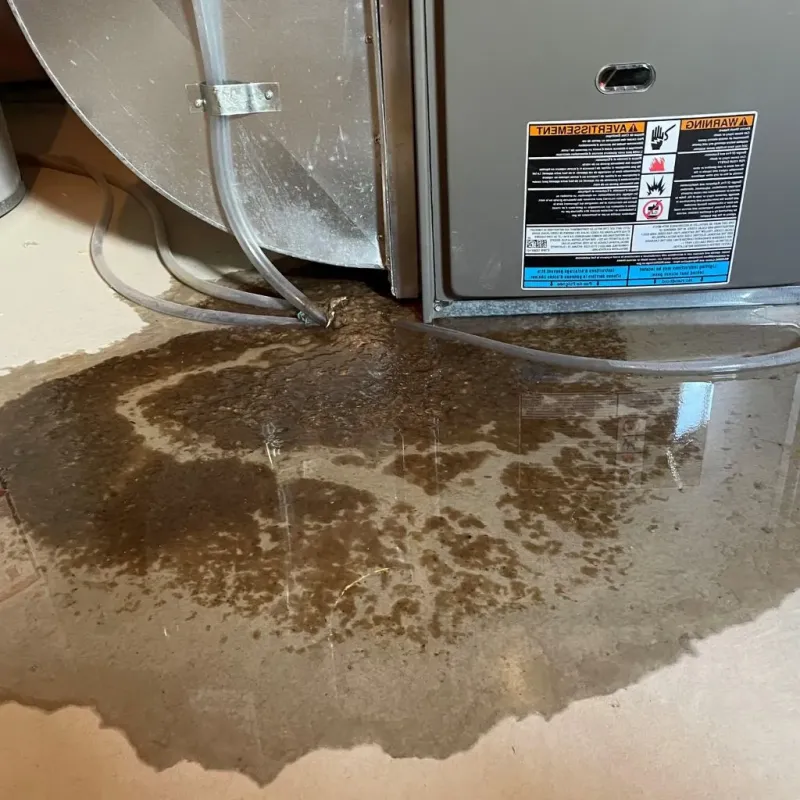 Pipe Burst and Leak Restoration in Henry County, KY