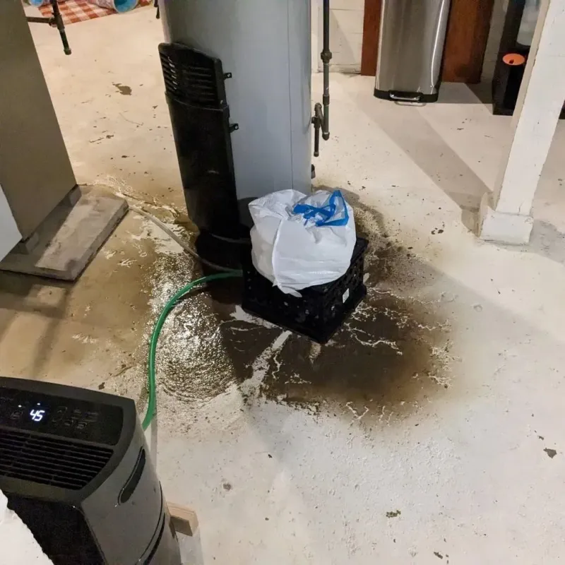 Sewage Backup Cleanup Service in Henry County, KY